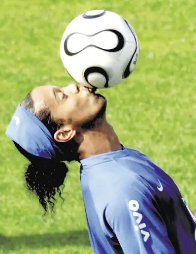 段的多样化 段的多样化