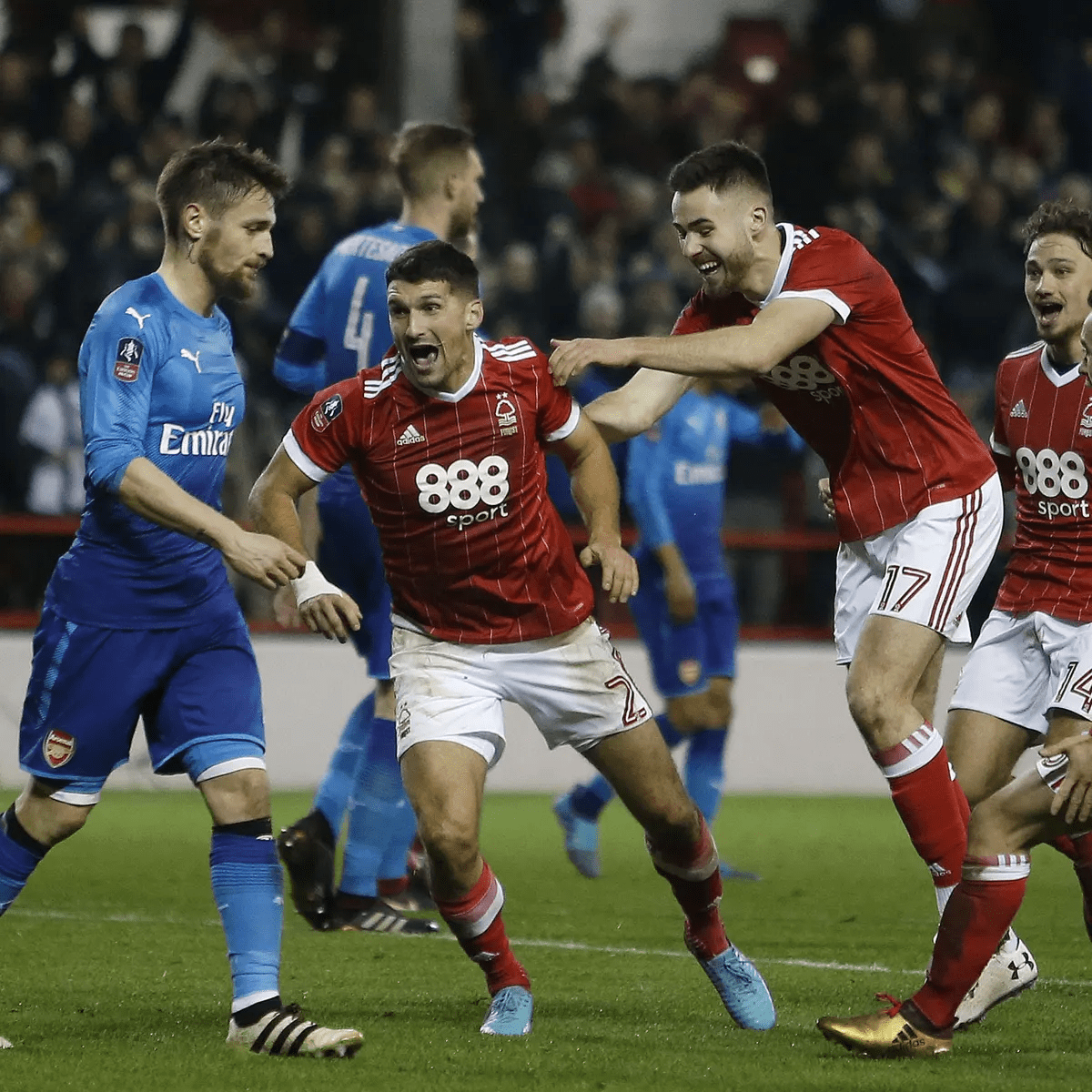 的情感与理 的情感与理